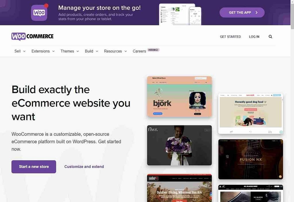 woocommerce for dropshipping business