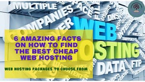 Read more about the article “6 Amazing Facts On How To Find The Best Cheap Web Hosting Provider