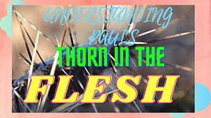 Read more about the article THE MEANING OF  PAULS THORN IN THE FLESH