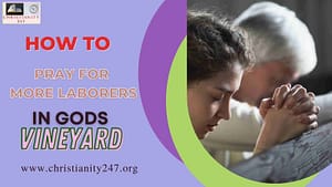 Read more about the article HOW TO PRAY FOR  LABORERS IN GODS VINEYARD